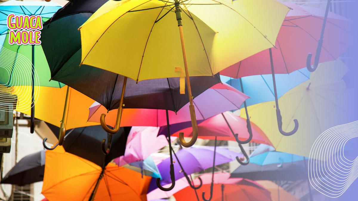 Los paraguas mejor calificados en Amazon | Esta es una lista de los paraguas con 5 estrellas en Amazon (Pexels.com).