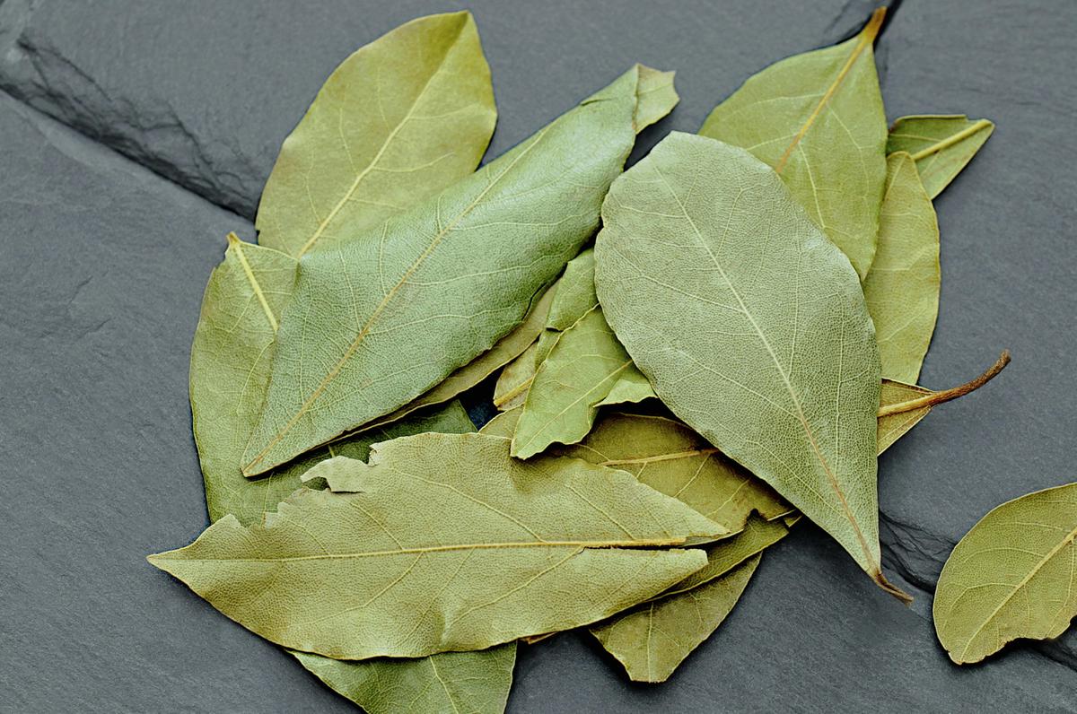 Laurel | Limpia bien las hojas antes de hacer el ritual
(Fuente: Pexels)