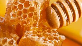 Beneficios de comer miel de abeja, no creerás sus efectos
