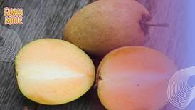 Zapote: la fruta tropical que sirve como laxante natural