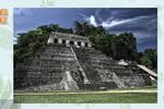Misterio maya: Explora las ruinas de Palenque en Chiapas