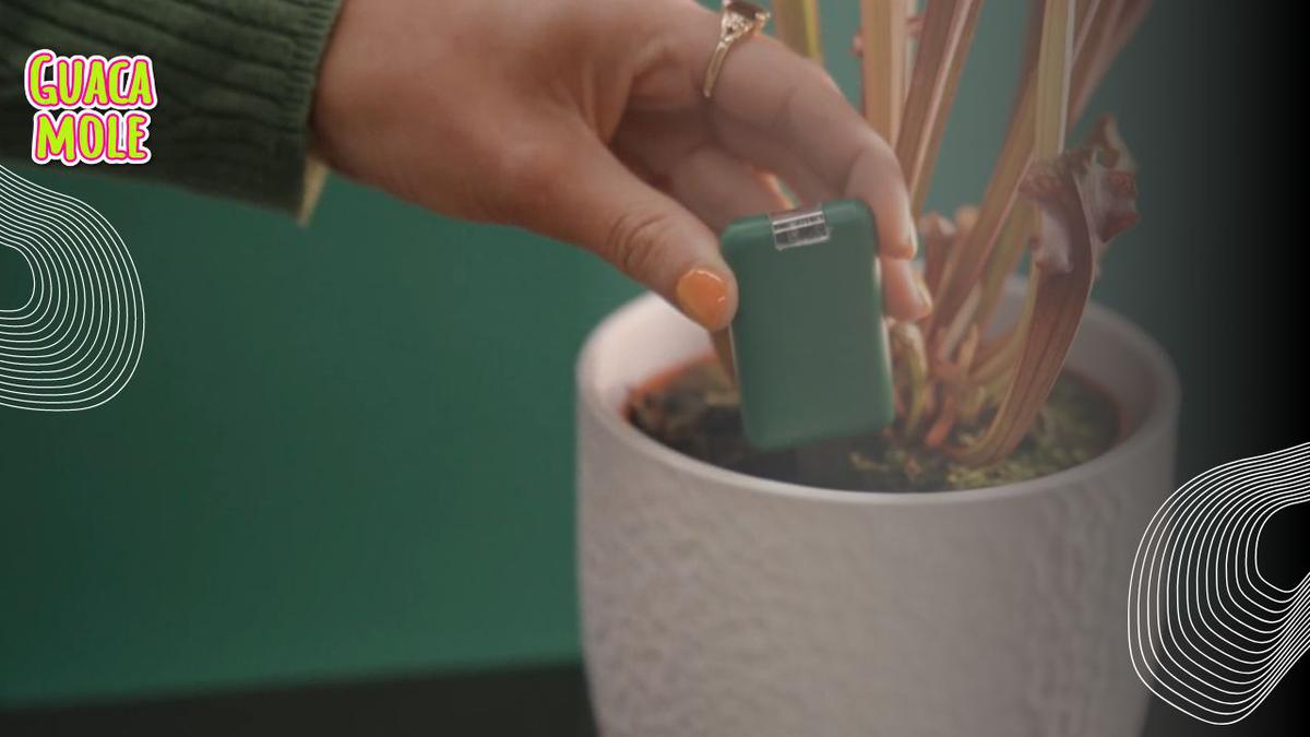 Este es el gadget que te avisa cuándo hay que regar las plantas para que no se te mueran