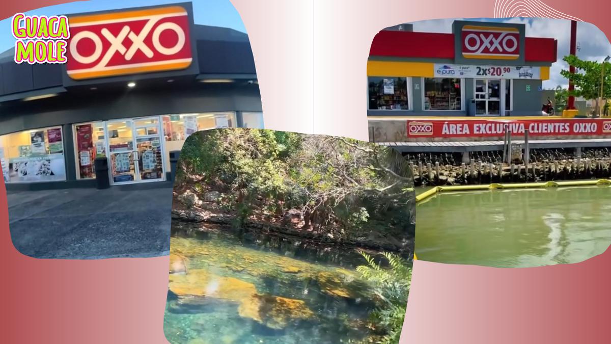 Oxxo mágico | Sucursales de la cadena de tiendas de autoservicio con diseños diferentes (Oxxo/ Instagram).
