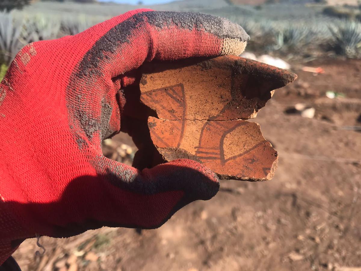 Pedazo de cerámica. | Hallazgos arqueológicos por investigadores de la UNAM. (Especial: Axl Eduardo Rosales Rodríguez).