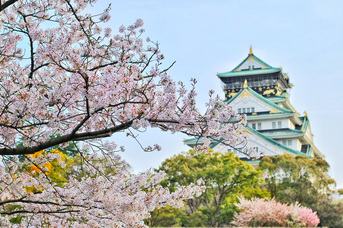 Viajar a Japón. | Los retiros naturales de este país también despiertan alto interés
(Fuente: Pexels)