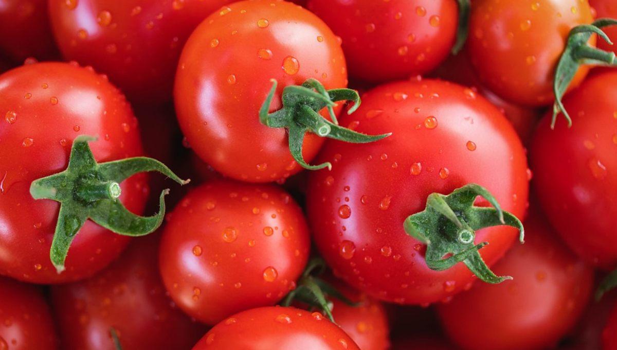 Pixabay (imagen ilustrativa) | El tomate rojo es muy benéfico para la salud.