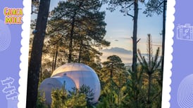 Conoce el campamento más moderno de CDMX: ¡podrás dormir en una burbuja!