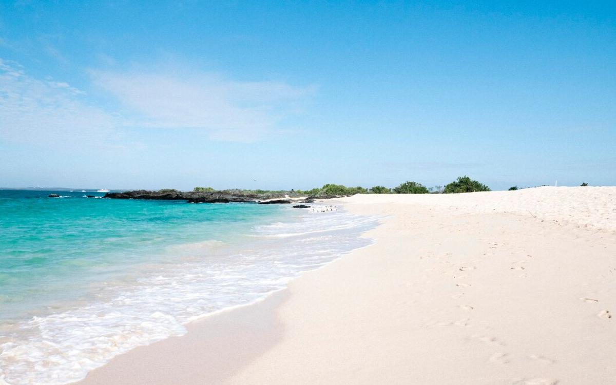 Playas vírgenes de Isla Aguada | Su arena, su mar y su clima cálido es ideal para unas bien merecidas vacaciones. (Freepik)