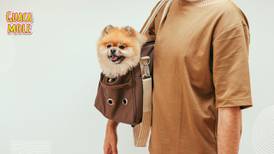 Si vas a transportar a tu perrito en el Metro de la CDMX, estos son los requisitos