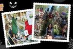 La joya inquietante de Xochimilco: La isla de las muñecas, donde cada una tiene su propia historia