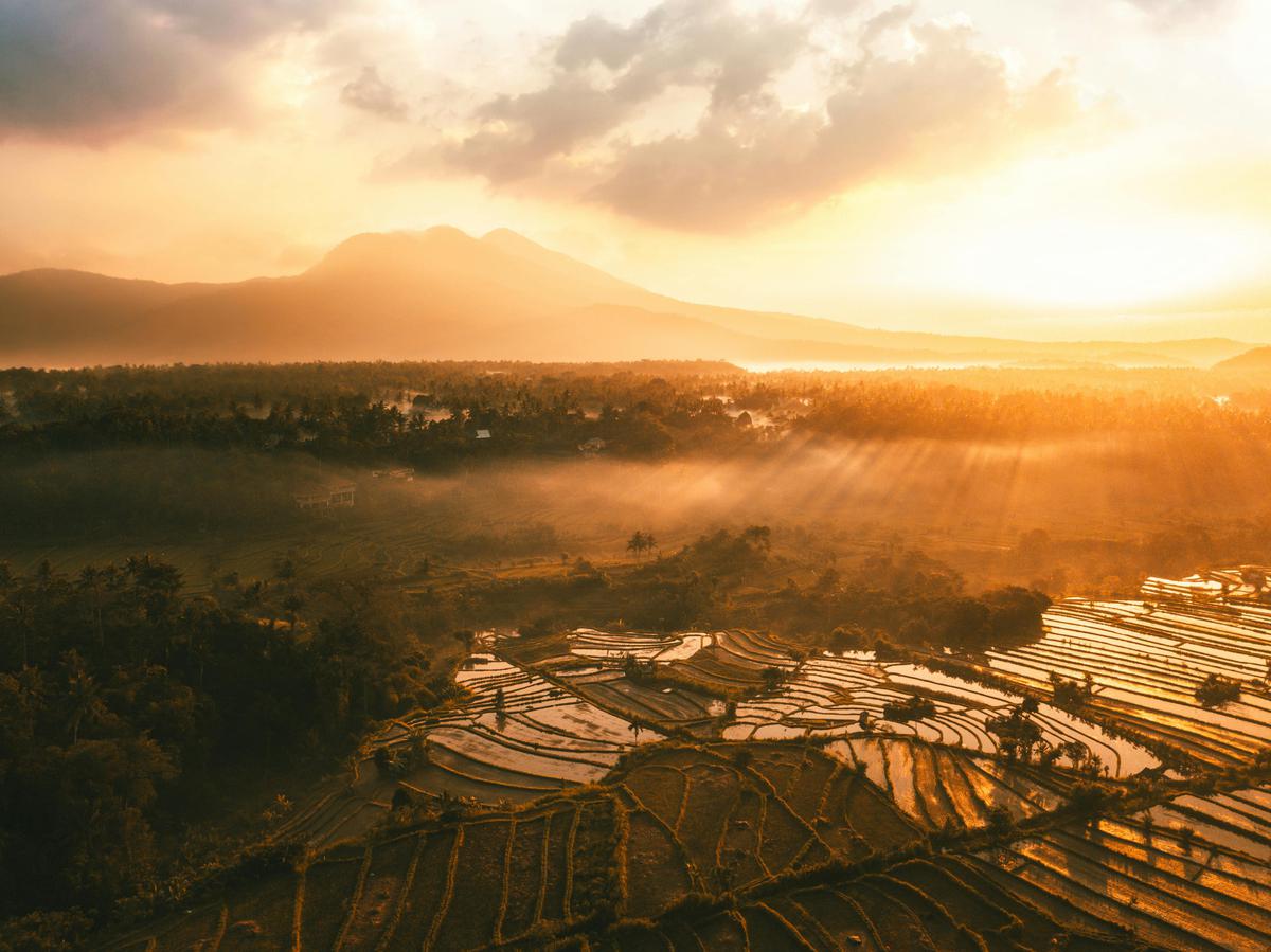 Indonesia | Cuál es la mejor época del año para viajar
(Fuente: Pexels)