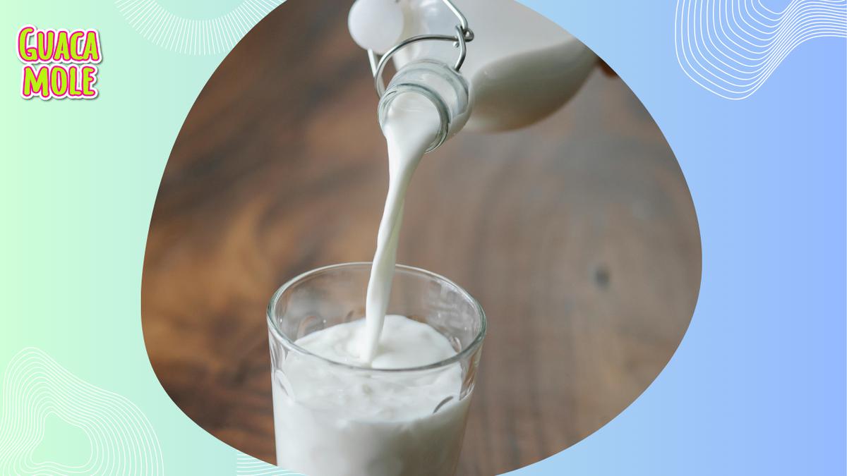 Leche | Tomar leche tiene grandiosos beneficios para el cuerpo (Pexels).