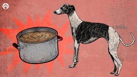 Carne de perro en el menú: Aún se consume en países como China y Vietnam