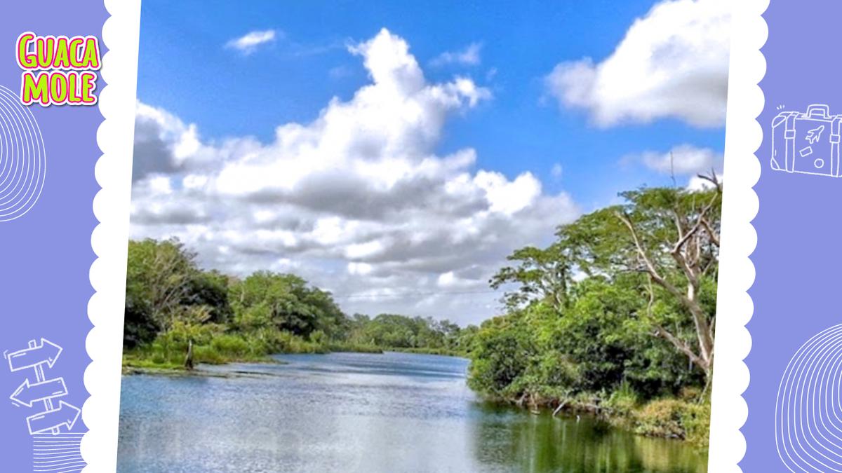 Bosque de Campeche Ich Ha Lol Xaan | El bosque de Campeche Ich Ha Lol Xaan es un paraíso natural. (Turismo Campeche)