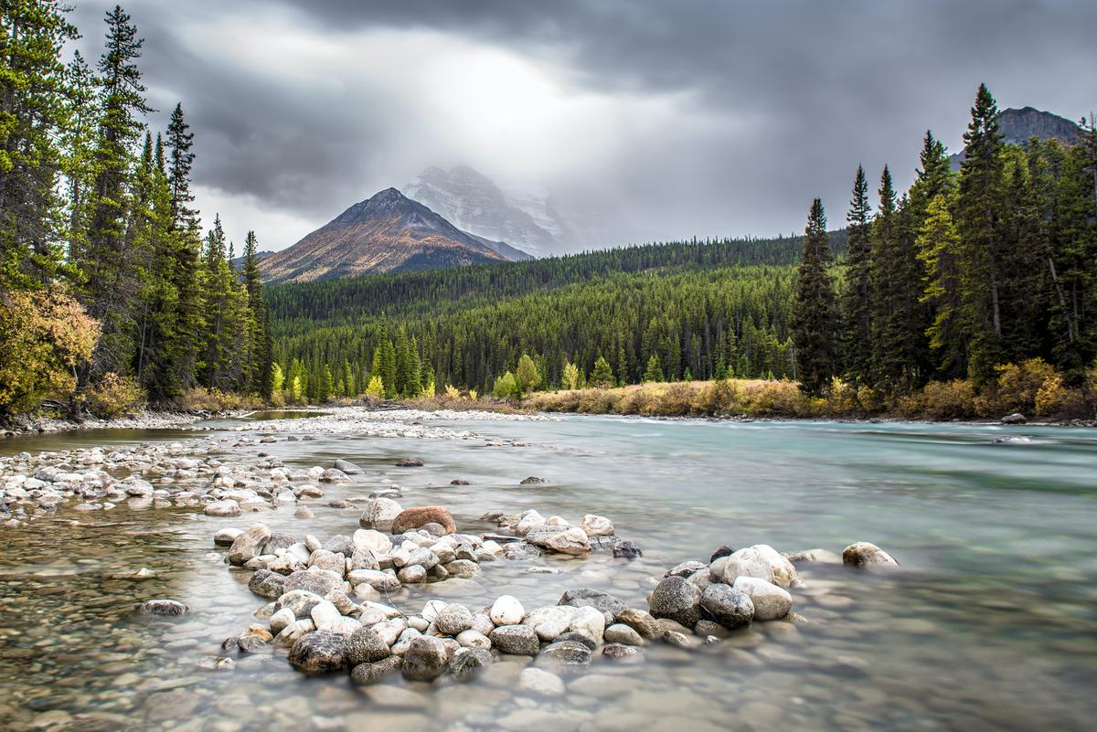 Alberta | Esta provincia canadiense se caracteriza por sus paisajes naturales
(Fuente: Pexels)