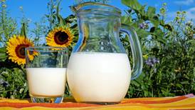 Aprende a hacer leche de almendras en tres sencillos pasos