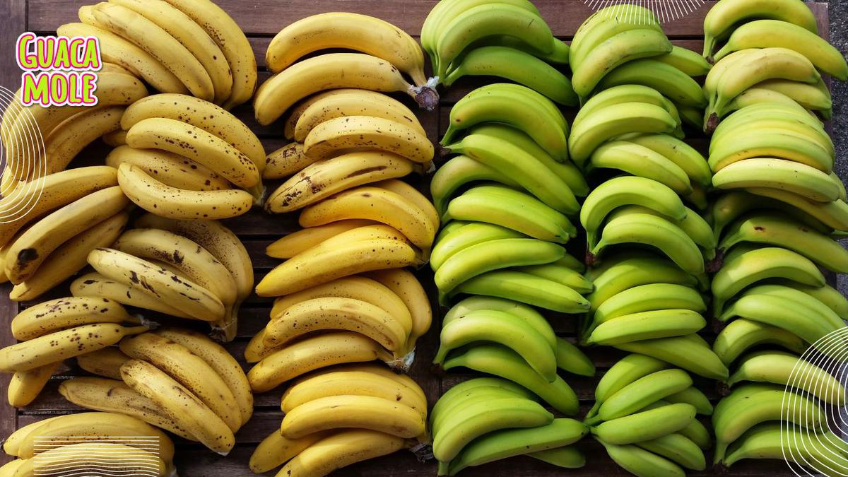 Plátanos. | Conoce sus diferentes aportes a la salud, preparaciones y sabores de los plátanos. (Canva).