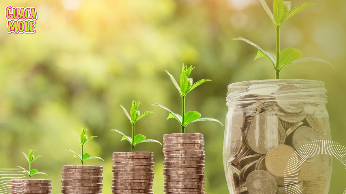 Convertirse en millonario | Dale una dirección distinta a tu dinero para ayudarlo a crecer (Pixabay).