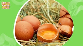 ¡No comas huevo podrido! Sigue estos tips infalibles para saber si aún es comestible