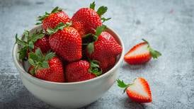 Temporada de fresas: aprovéchalas al máximo con estas recetas
