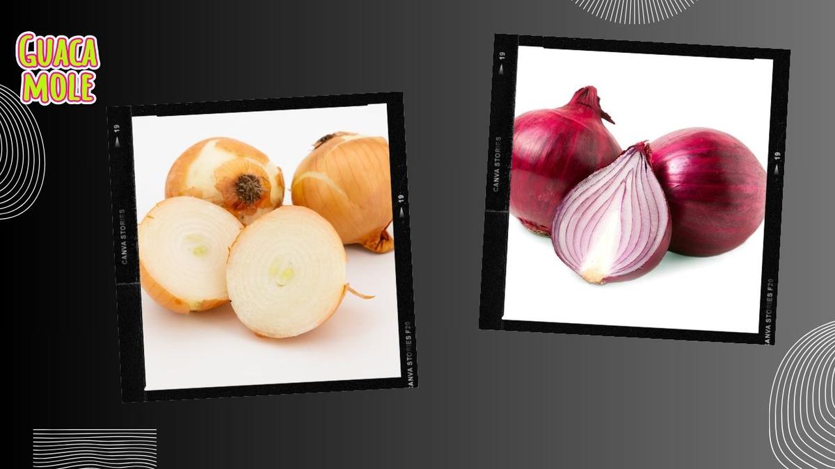¿Cuál es la diferencia entre la cebolla blanca y la cebolla morada?