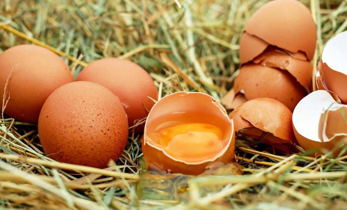 Vitamina A | Los huevos son un gran aliado si buscas encontrarla (Fuente: archivo)
