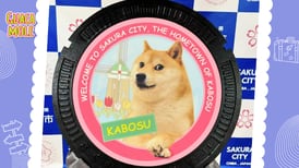 Kabosu: este es el país de origen de la famosa perrita que inspiró el meme Doge