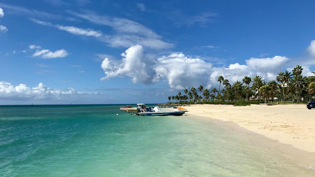 Aruba | Un lugar paradisíaco a donde famosos escapan de vacaciones
(Fuente: Pexels)