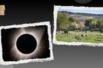 ¿Por qué los eclipses solares alteran a los animales?