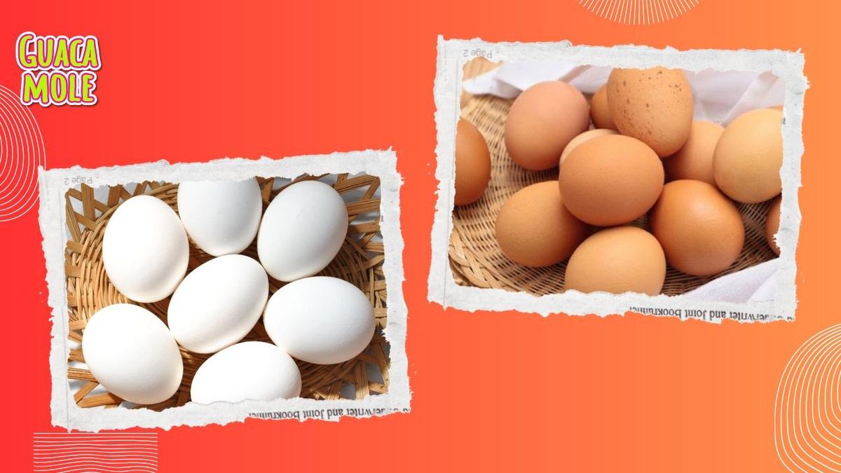 ¿Es mejor el huevo blanco o el huevo rojo… cuál es más saludable?