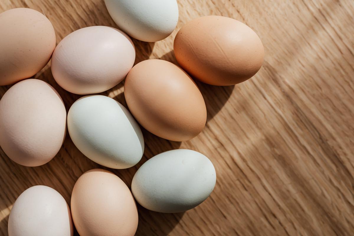 Huevo | El huevo es uno de los mejores desayunos
(Fuente: Pexels)