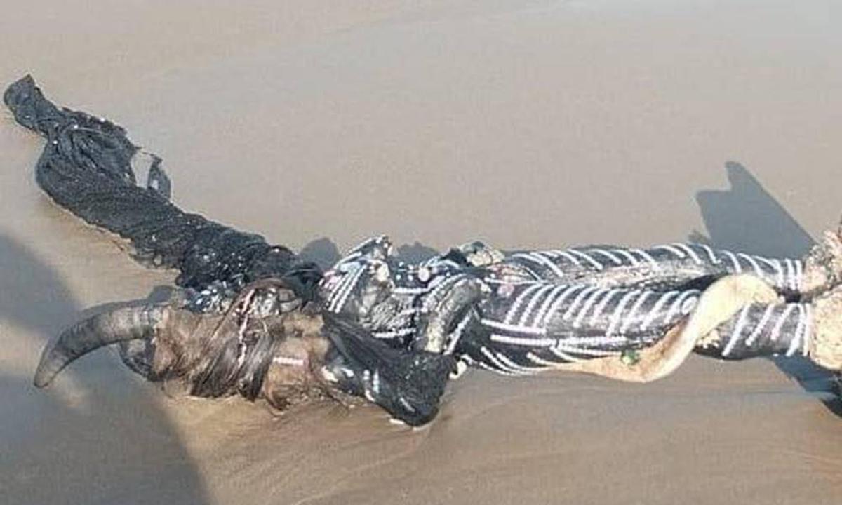 Figura humanoide en playa de Coatzacoalcos. | Así encontraron el objeto de medio metro en la playa de Coatzacoalcos. (Especial: Captura de pantalla).