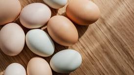 Conoce la dieta del huevo cocido para perder 5kg en 4 días