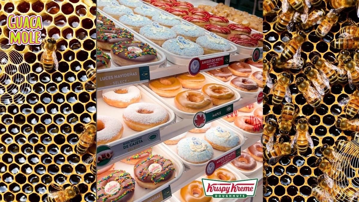 Krispy Kreme "Abeja Friendly". | Por si no sabías, las sucursales de Krispy Kreme le abren sus puertas a las abejas y te decimos los detalles. (Especial: @krispykrememexico y Canva).