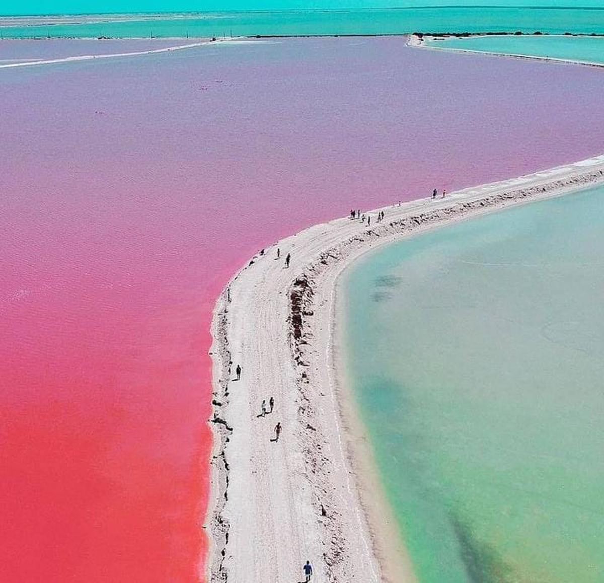 Las coloradas en Yucatán | Playa color rosa en Yucatán, México (Blankhub/Instagram)