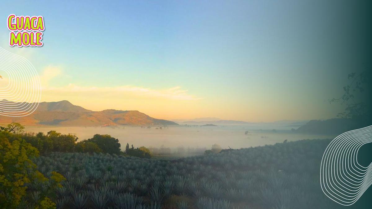 Volcán del tequila, San Juanito de Escobedo. | Conoce el sitio que tuvo prácticas agrohidráulicas prehispánicas y es también una ruta tequilera. (Especial: Axl Eduardo Rosales Rodríguez).