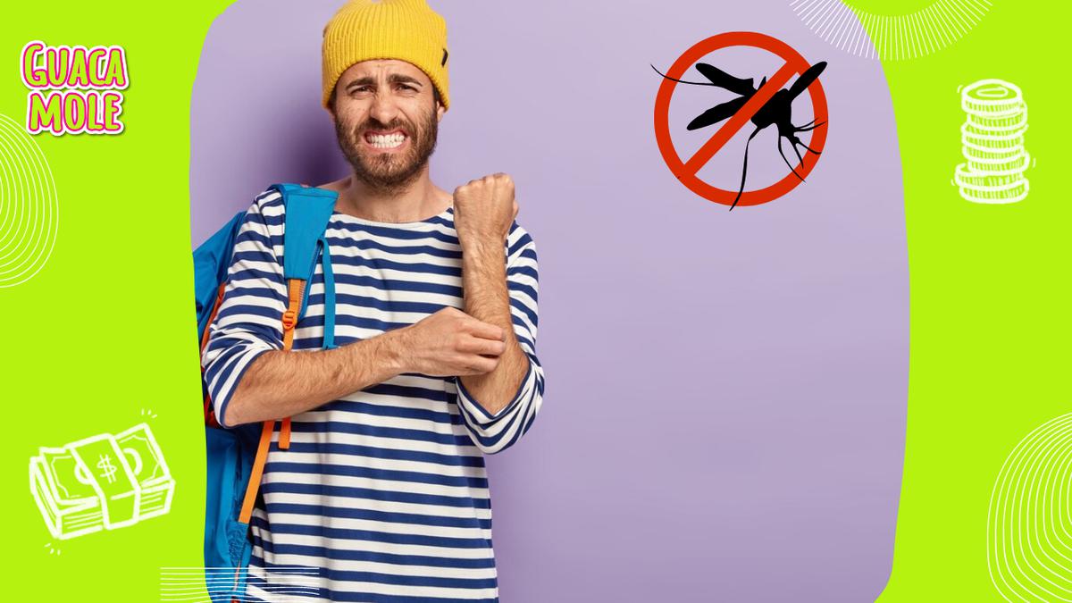Ahuyentar mosquitos | La próxima vez que te encuentres luchando contra estos molestos insectos, considera este remedio. (Freepik)