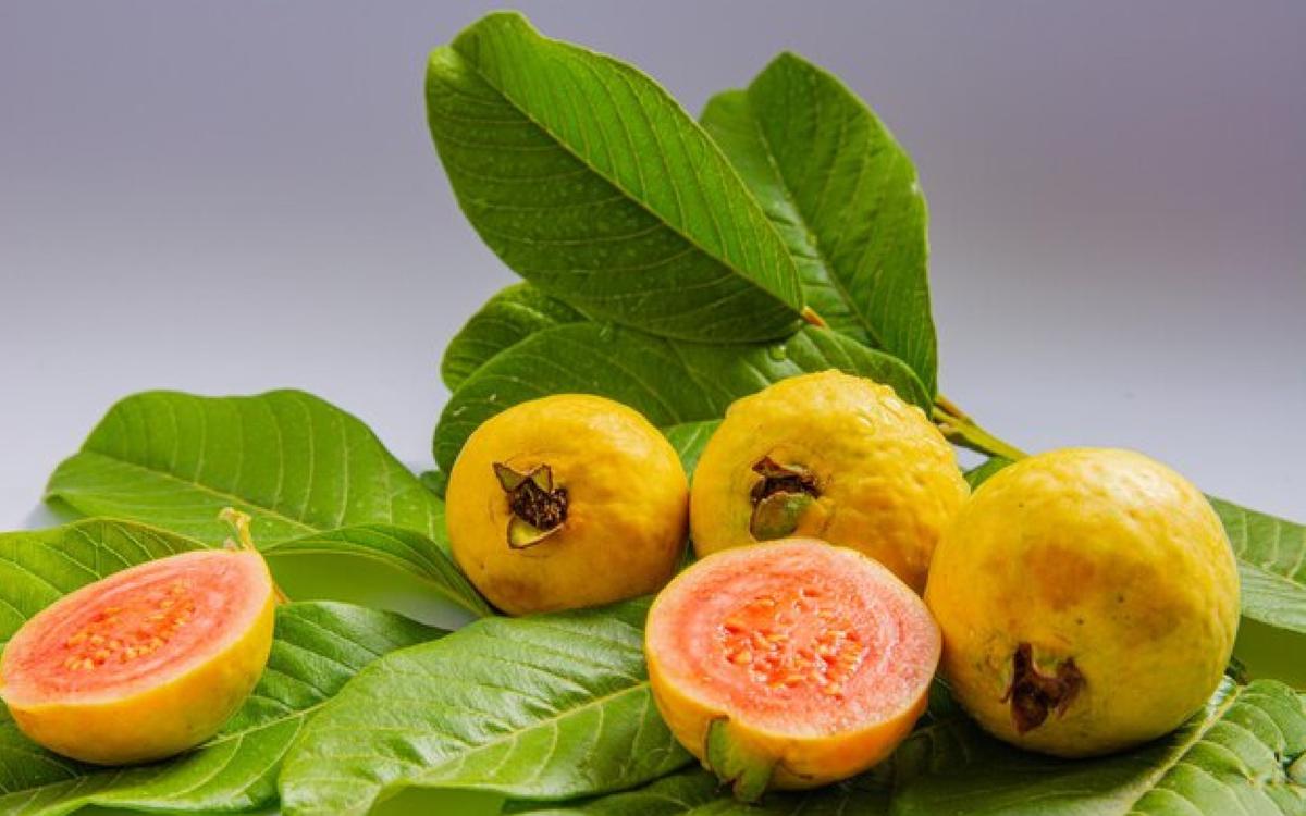 Incluye la guayaba en el agua de frutas. | La guayaba es una fruta rica en vitaminas y minerales. (Freepik)