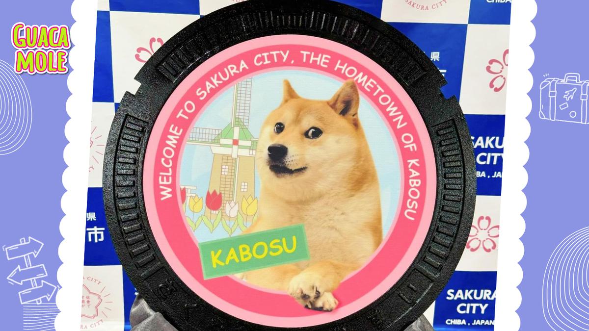 Kabosu | Kabosu nos recordará siempre el poder de Internet para conectar a las personas de todo el mundo. (Instagram/kabosumama)