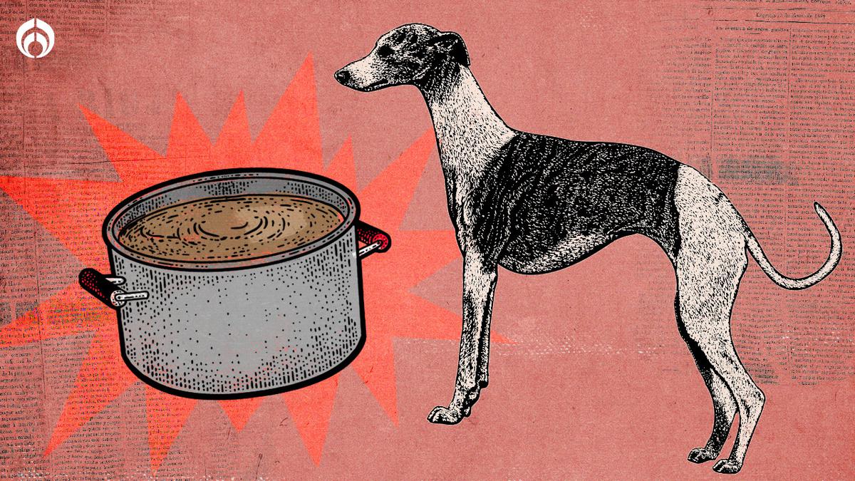 Carne de perro. | Países como China, India, Vietnam, Filipinas, Camboya e Indonesia aún tienen la costumbre de comer carne de perro. (Daniela Mena)