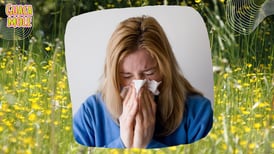 Alergias estacionales: erradícalas con estos tips infalibles, ¡tu nariz volverá a la normalidad!