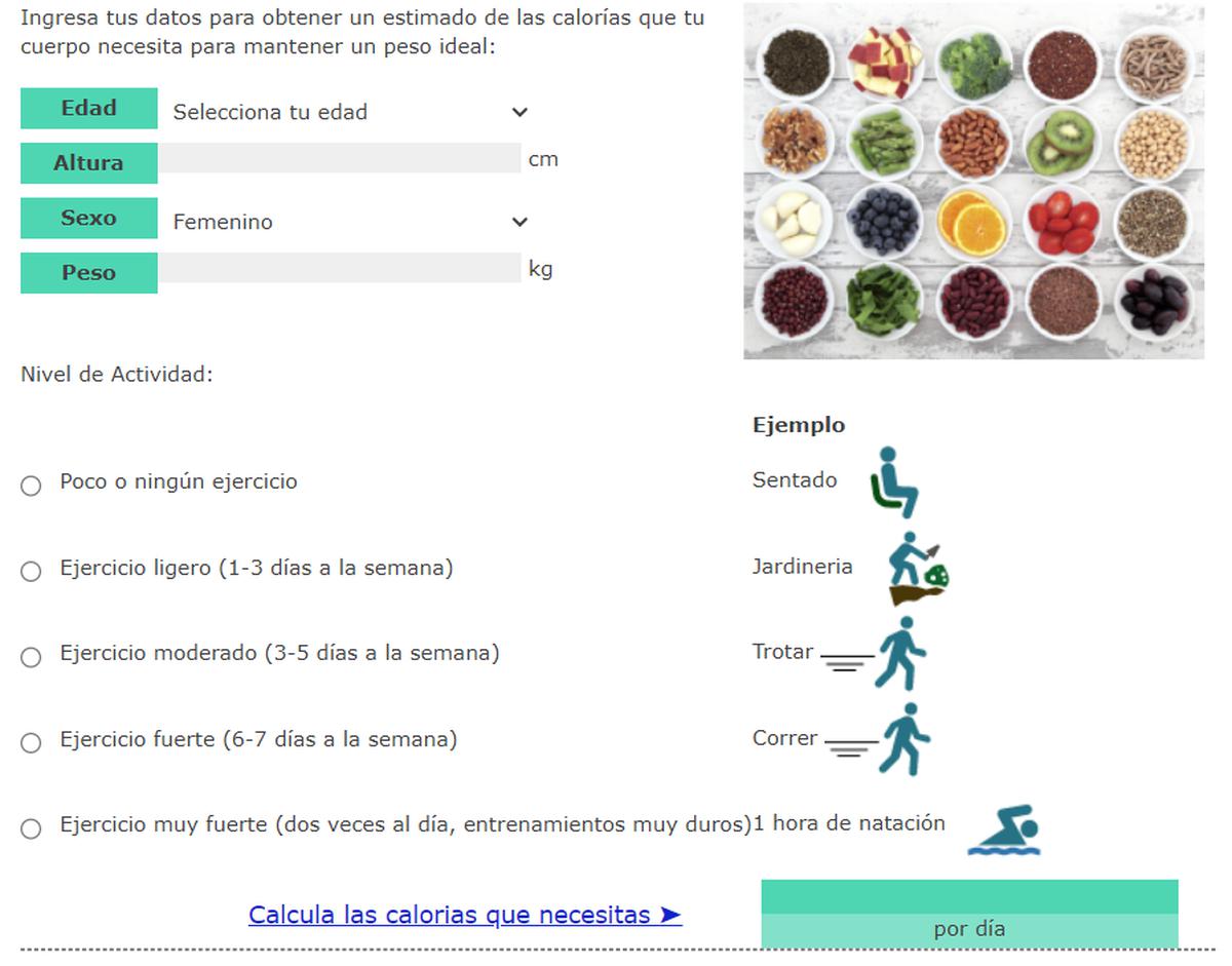 Calculador de calorías | La web fue creada por el Gobierno de México y es de acceso gratuito
(Fuente: Captura de pantalla)