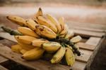 Aprende a plantar plátano en casa gracias a este infalible truco