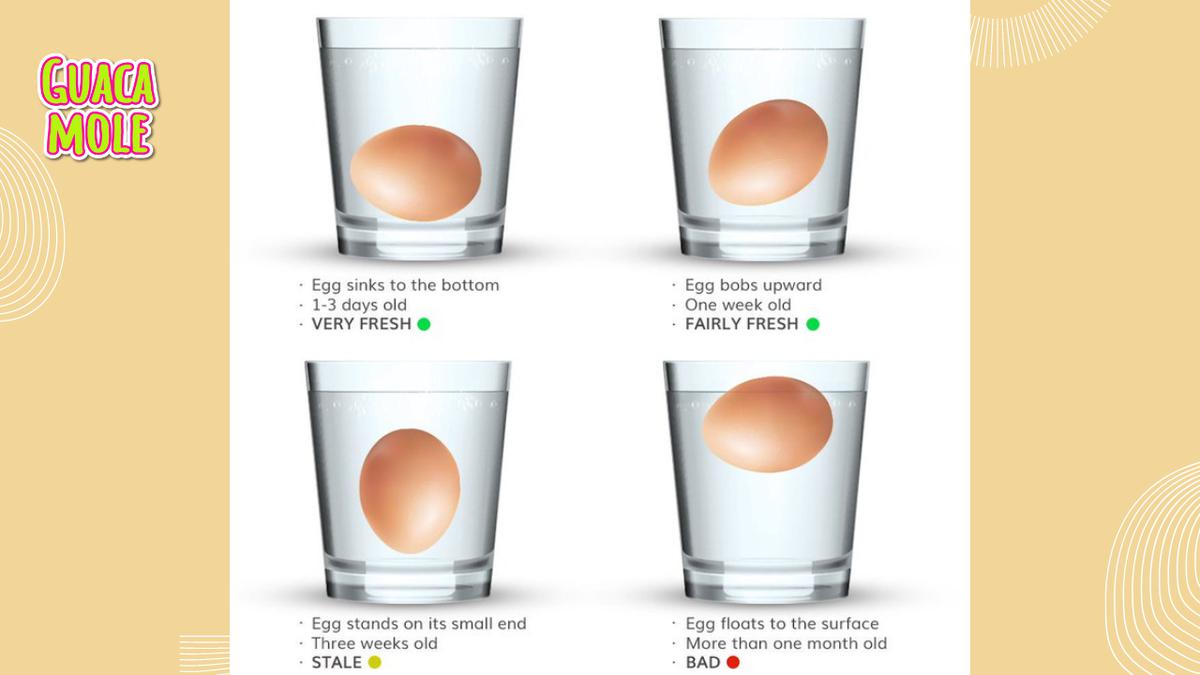 Huevo fresco. | Con esta informacion manten tus huevos frescos y listos para su consumo. (Pixabay)