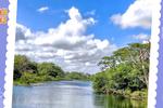 Tienes que visitar el paradisíaco bosque de Campeche que tiene dos ojos de agua ideal para nadar