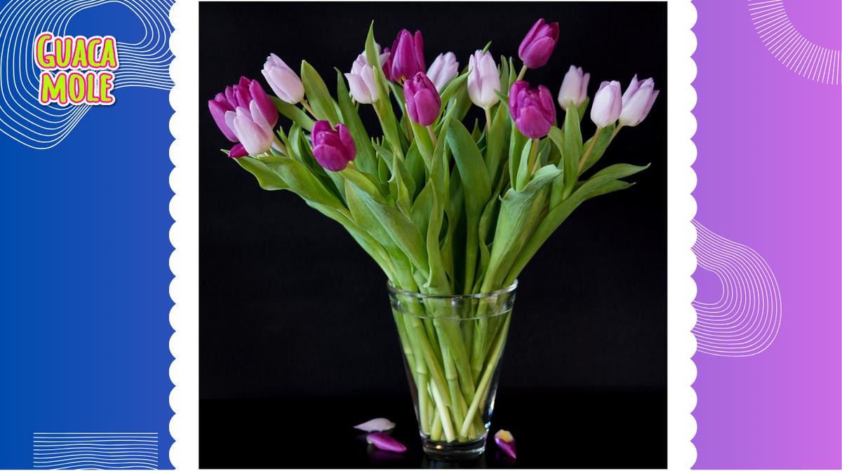 Flores | Mantén tu ramo buchón por más tiempo contigo (Pixabay).