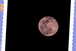 Luna ROSA: ¿Cómo y dónde ver este magnífico evento astronómico en abril?