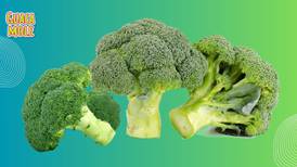 Brócoli: tu aliado para mantenerte más concentrado