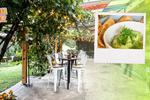 Amantes del guacamole: 10 restaurantes de CDMX en donde es el rey
