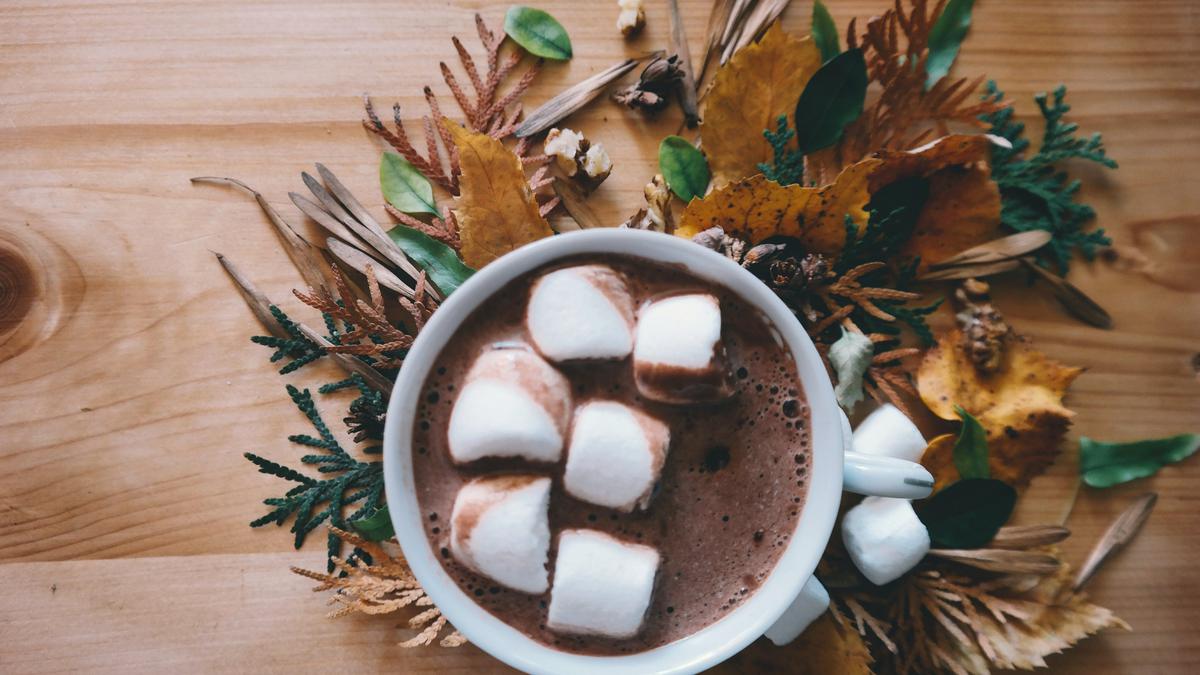Chocolate caliente, | Sigue esta receta para darle un toque especial
(Fuente: Pexels)